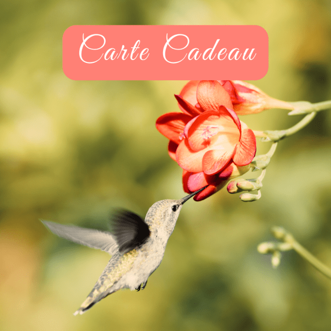 Bon cadeau COLIBRI